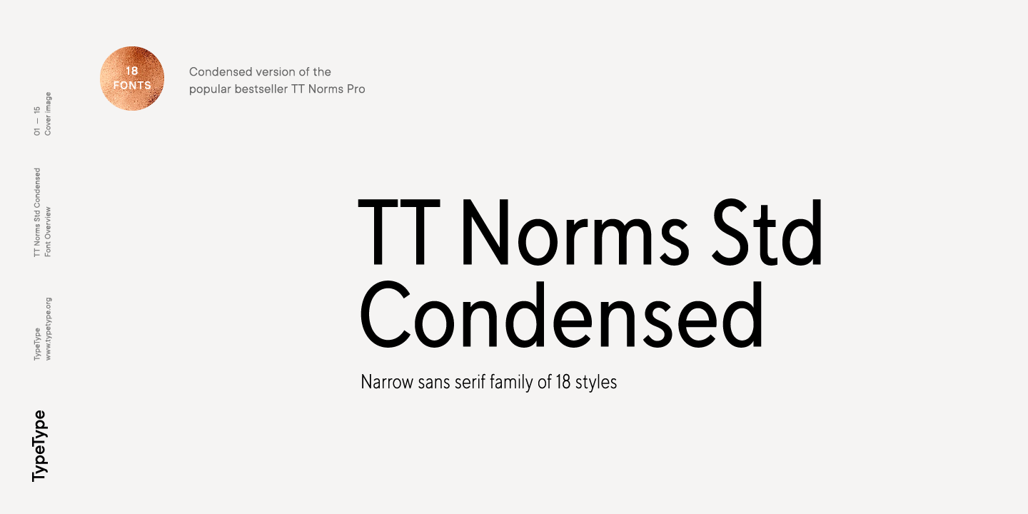 TT Norms Std Condensed Font preview